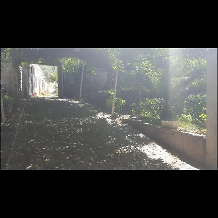 Nel Verde